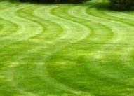 lawn