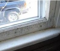 window